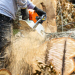 A landscaper using a chainsaw to cut up a tree that fell during tropical storm Isaias on Long Island New York.